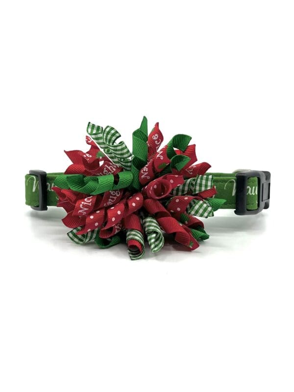 A green and red dog collar with a flower.