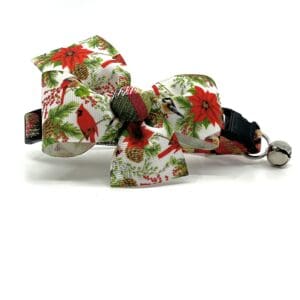 A dog collar and leash set with a red cardinal on it.