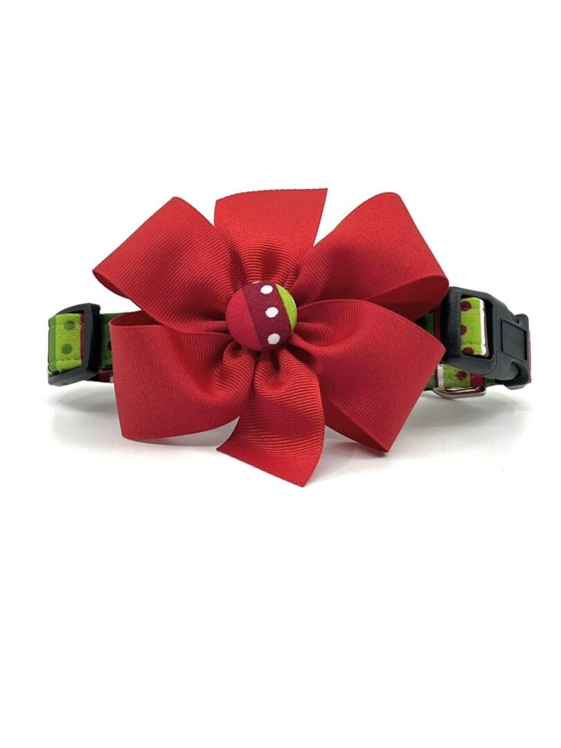 A red collar with a red flower on it.