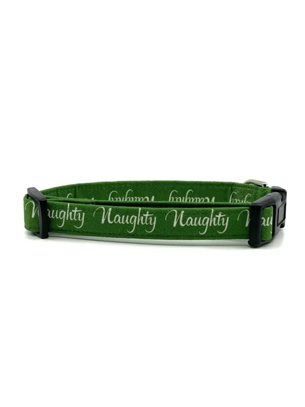 A green collar with the words " naughty " and " holidays ".