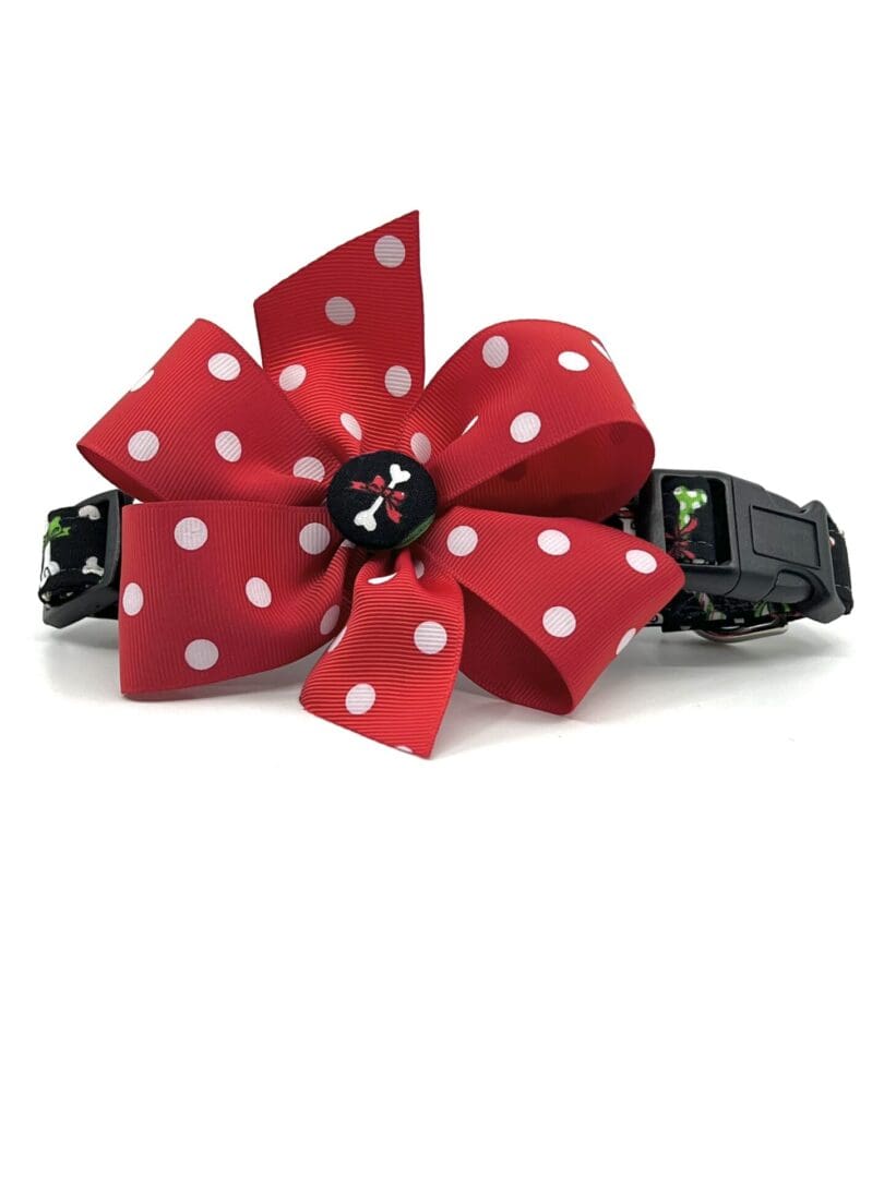 A red and white polka dot flower on a black collar.