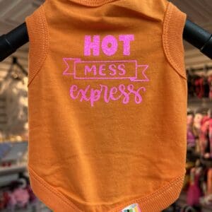 A dog shirt that says hot mess is expless