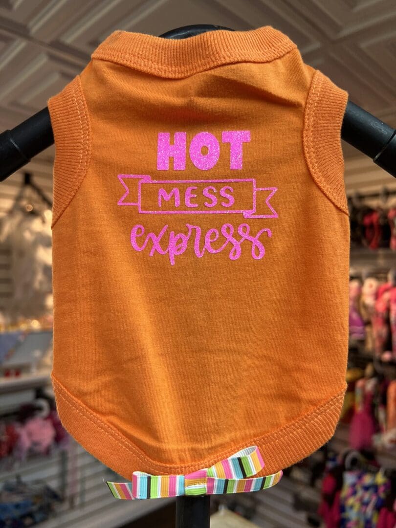 A dog shirt that says hot mess is expless