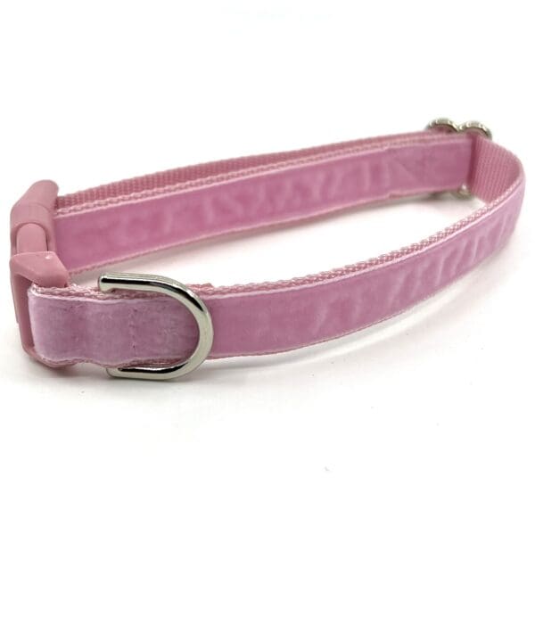 A pink dog collar with a silver buckle.