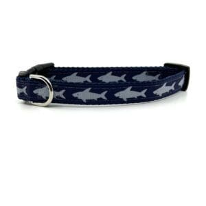 A blue and gray dog collar with a silver buckle.