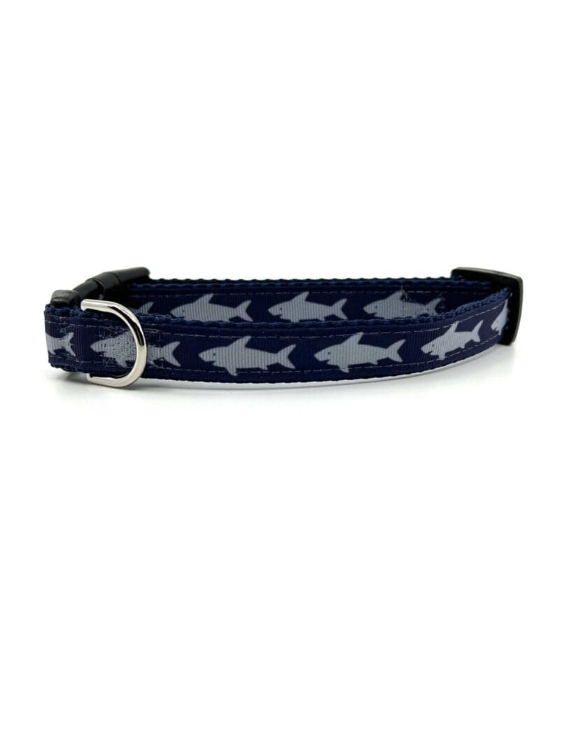 A blue and gray dog collar with a silver buckle.