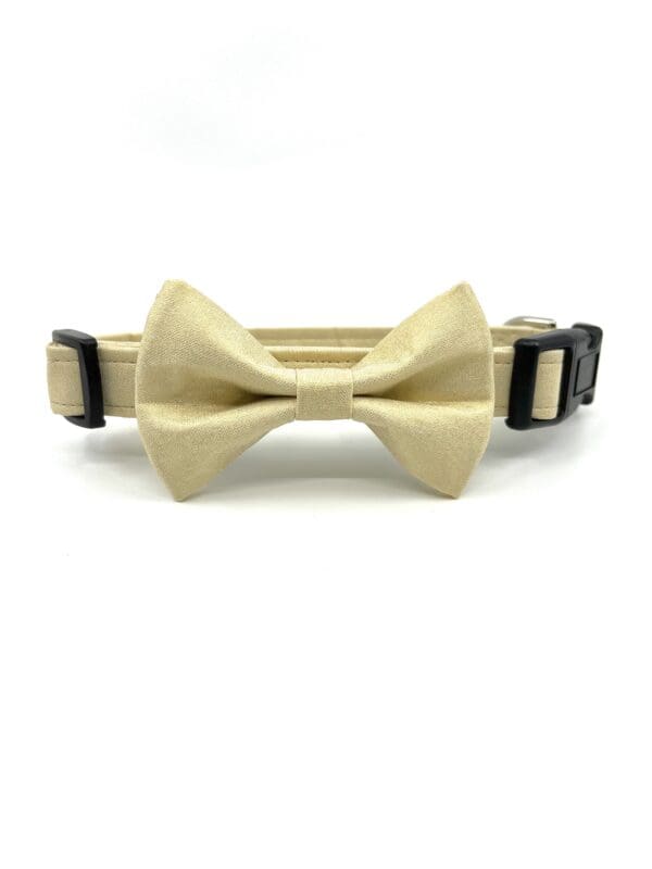 A bow tie collar for dogs in beige color