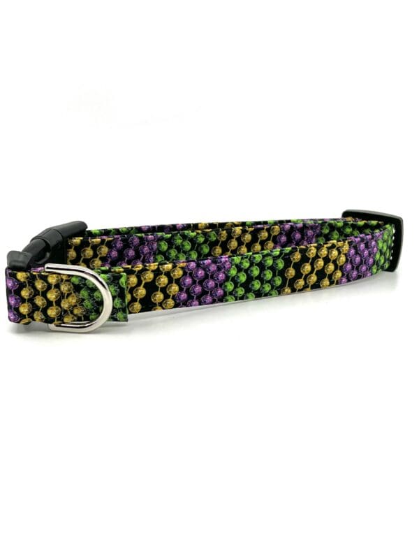 A purple and green dog collar with a metal buckle.