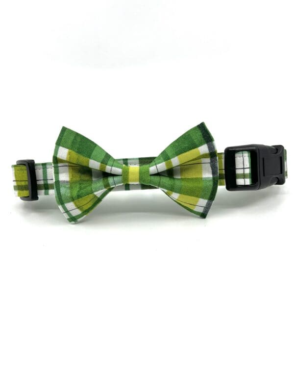 A green bow tie collar for dogs.