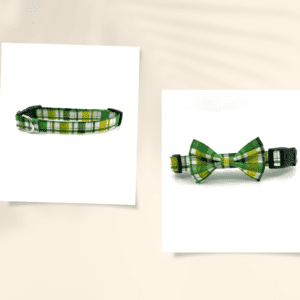 A green bow tie and collar on top of a white background.