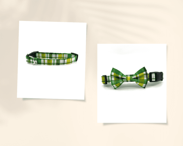 A green bow tie and collar on top of a white background.