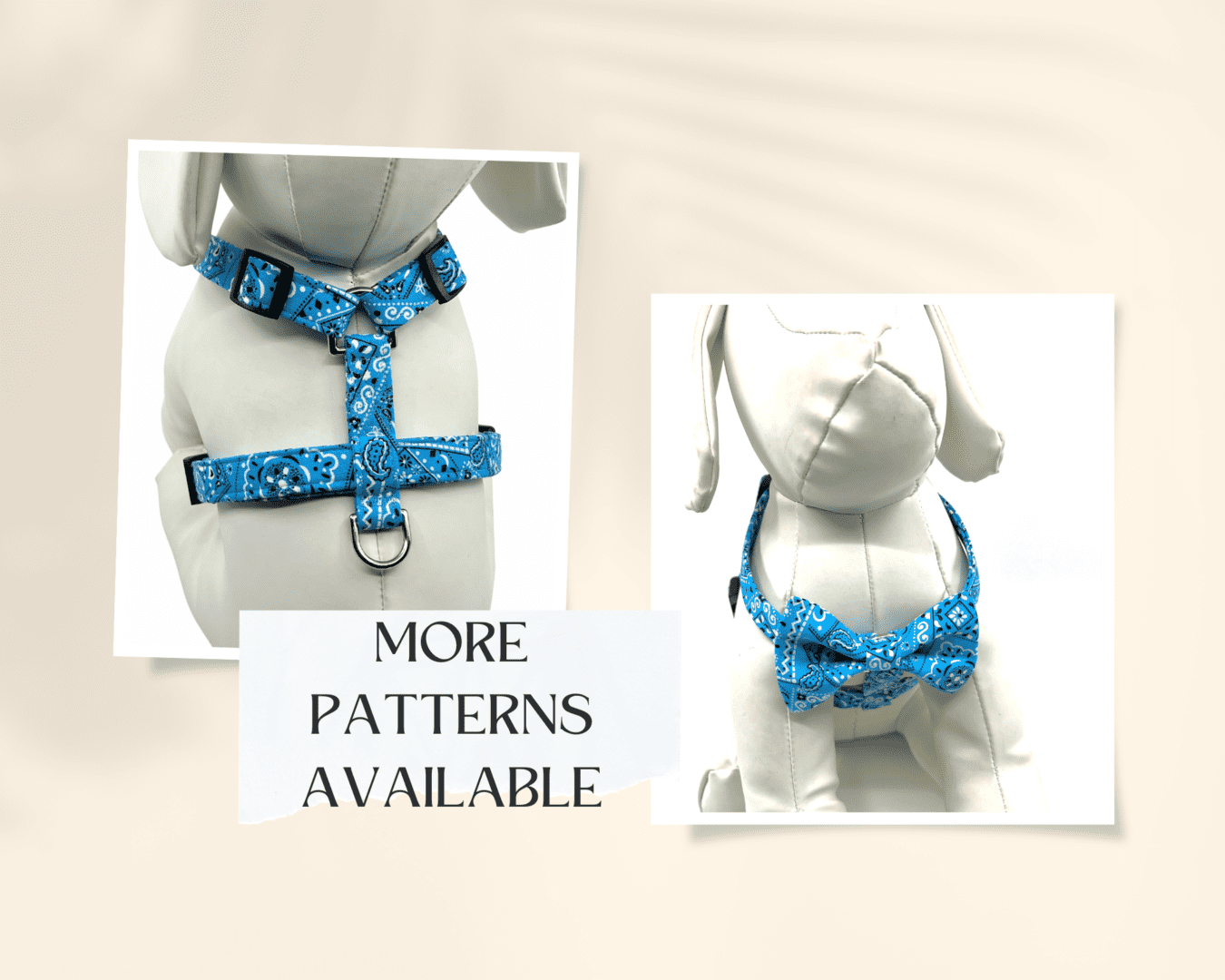 A dog wearing a blue bow tie harness.