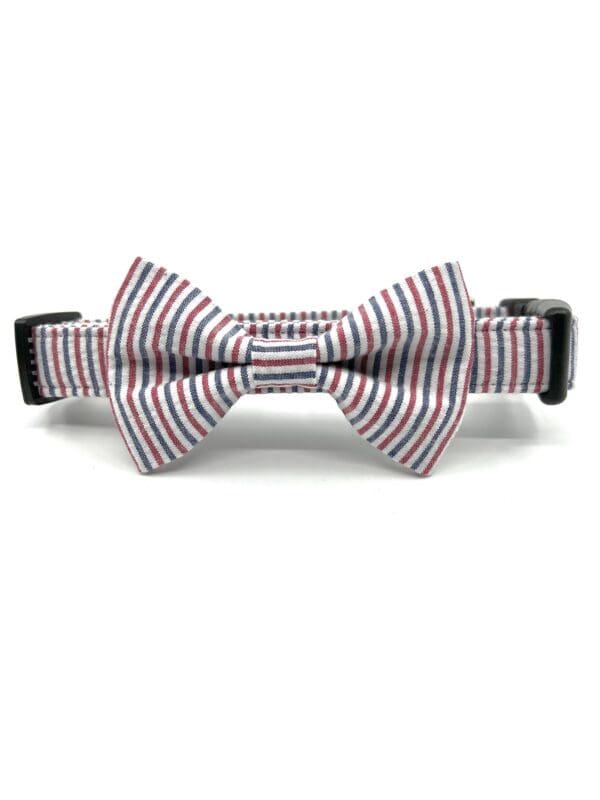 A dog collar with a bow tie on it.