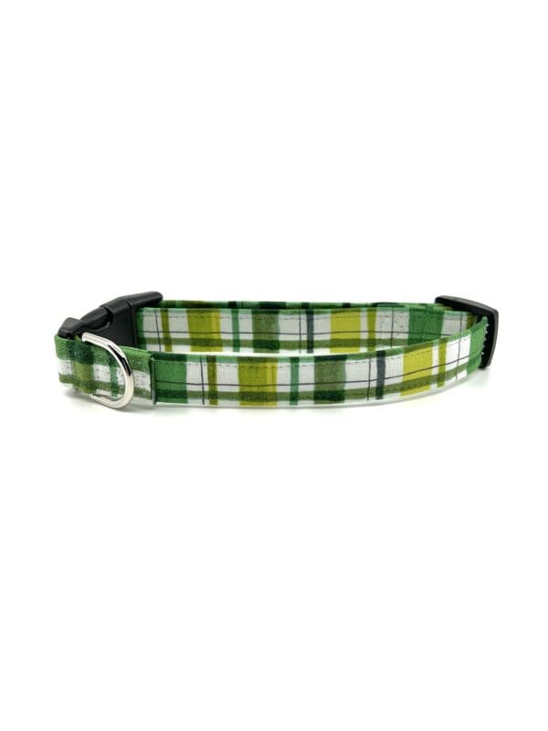 A green and white plaid dog collar with an o-ring.