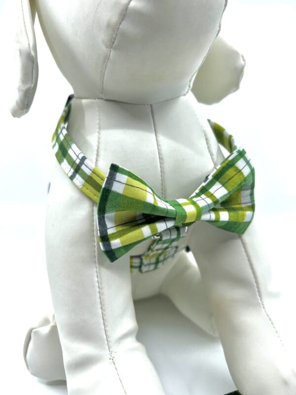 A dog wearing a bow tie with green and white plaid.