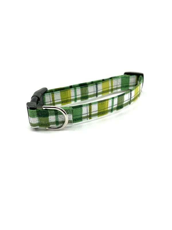 A green and white plaid dog collar with an adjustable buckle.
