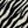 A close up of the zebra print on a blanket