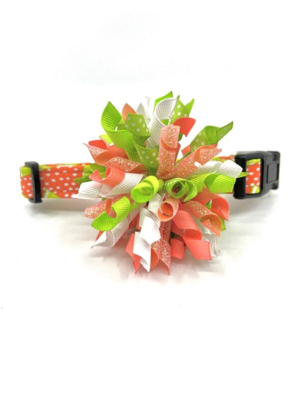 A dog collar with a flower on it.