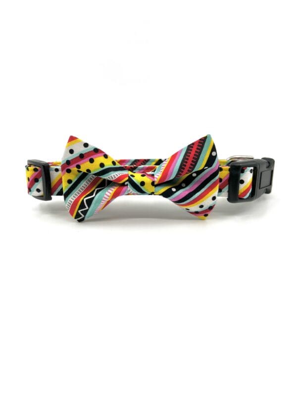 A colorful bow tie collar for dogs.