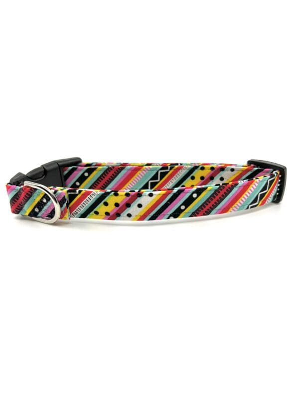 A colorful striped dog collar with a black buckle.