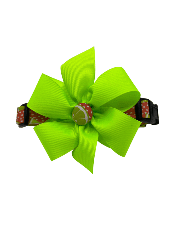 A lime green dog collar with a flower on it.