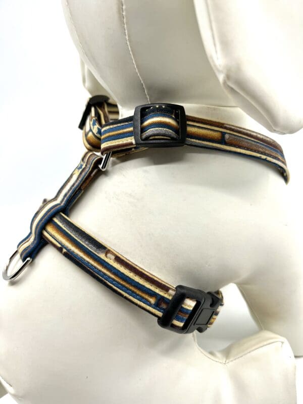 A dog 's harness and leash is shown on the arm of its owner.