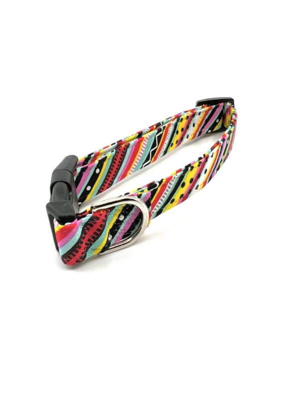 A colorful dog collar with black buckle.