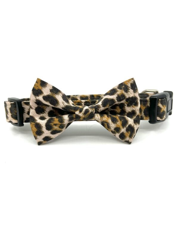 A leopard print bow tie collar for dogs.