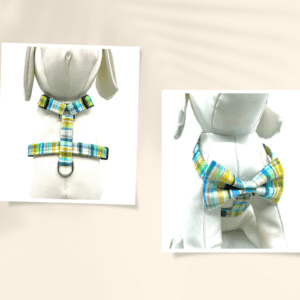 A dog collar and leash set with blue, yellow and green stripes.