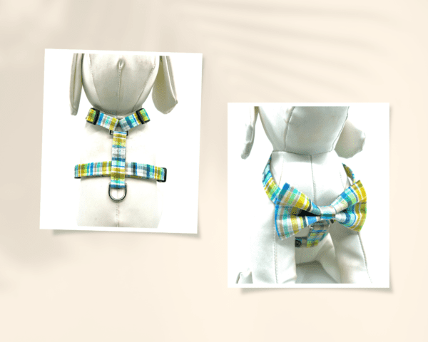 A dog collar and leash set with blue, yellow and green stripes.