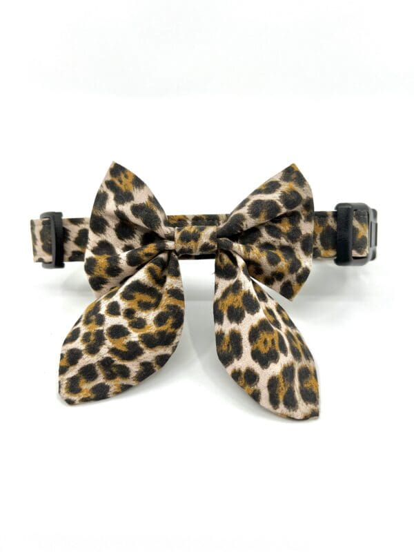 A leopard print collar with a bow.