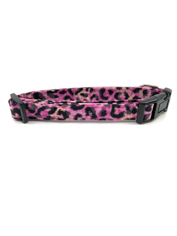 A pink and black leopard print dog collar.