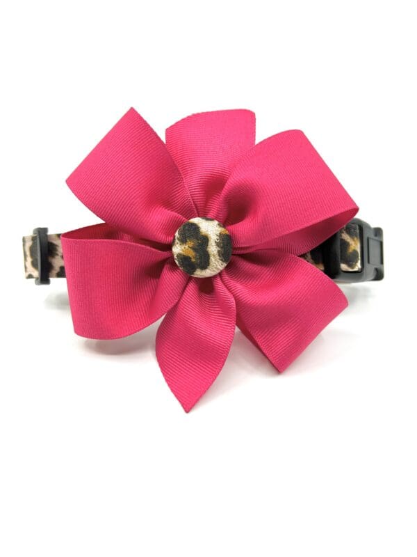 A pink collar with a leopard print flower on it.