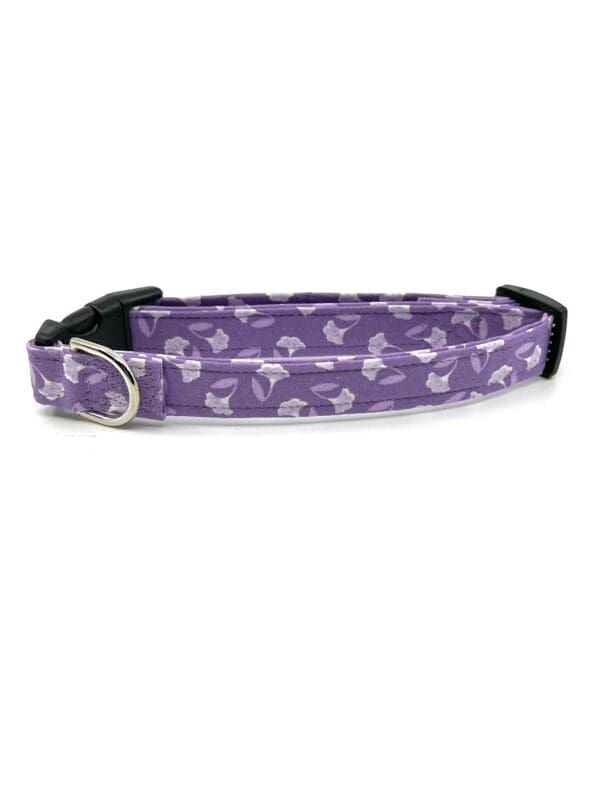 A purple and white dog collar with a silver buckle.