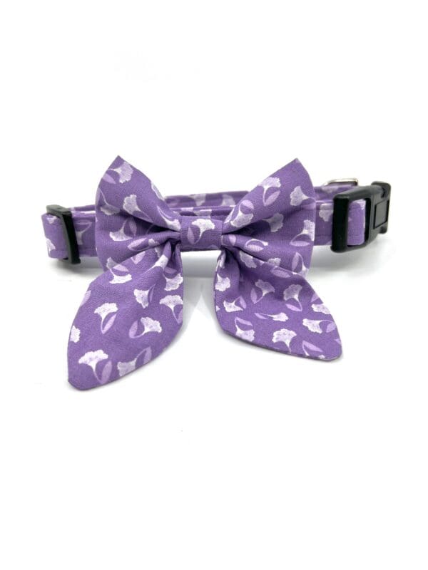 A purple cat collar with a bow on it.
