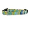 A dog collar that is blue and yellow.