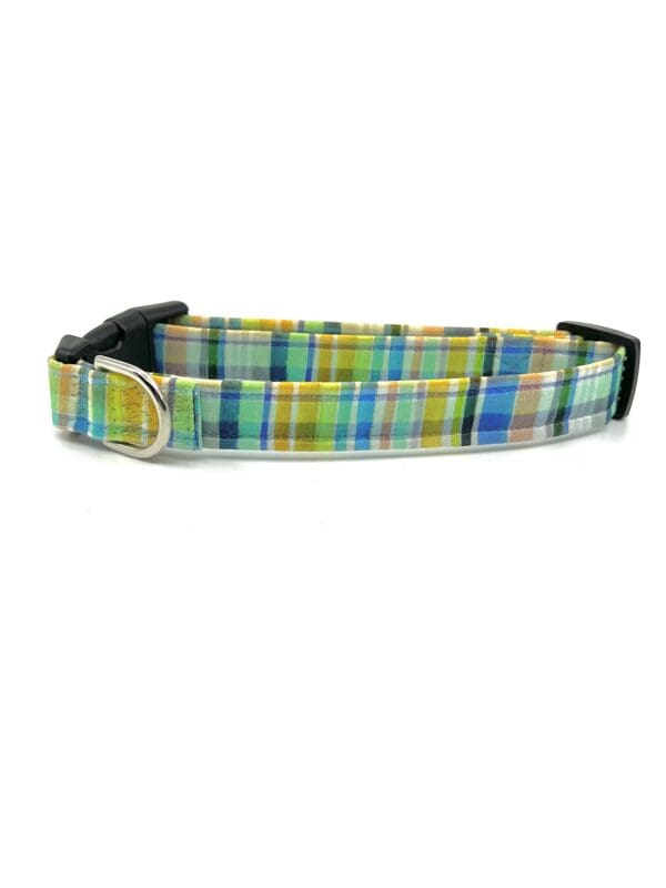 A dog collar that is blue and yellow.