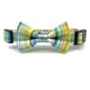 A yellow and blue plaid bow tie dog collar.