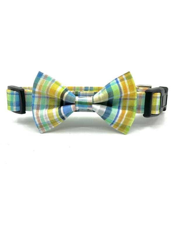 A yellow and blue plaid bow tie dog collar.