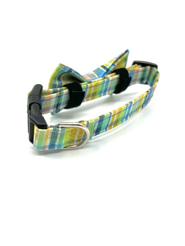 A collar with a bow tie on it.