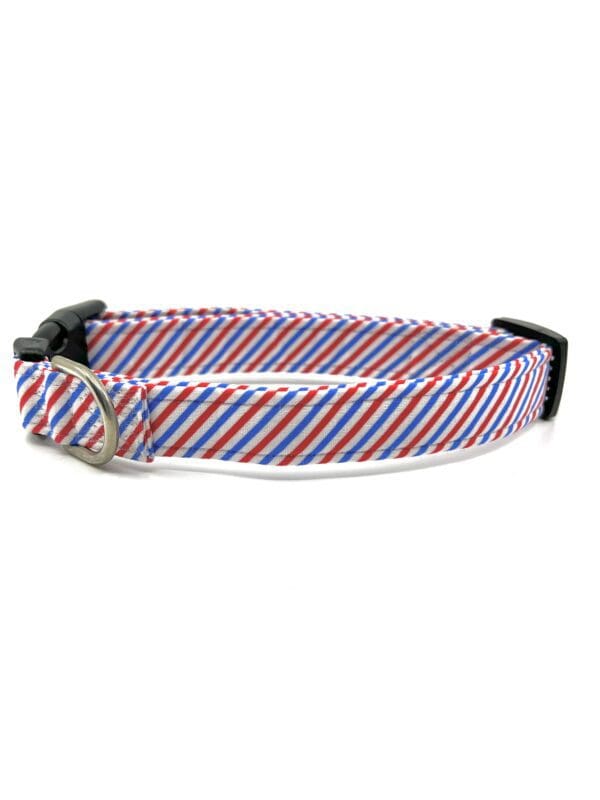 A red, white and blue striped dog collar.