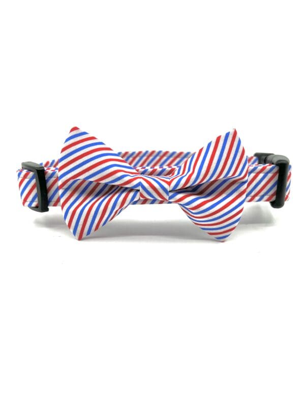 A red, white and blue bow tie on a white background.