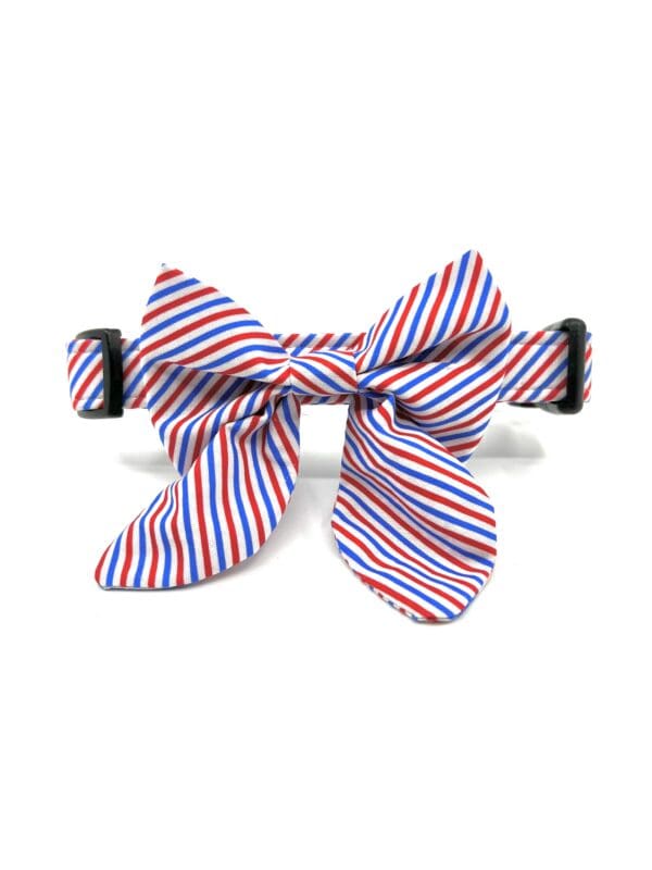 A red, white and blue striped bow tie collar.