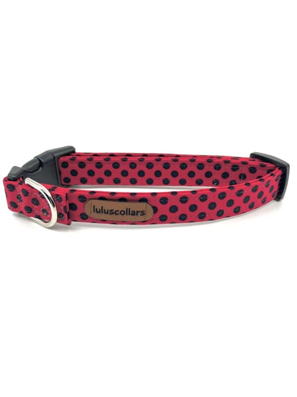 A red and black polka dot dog collar.