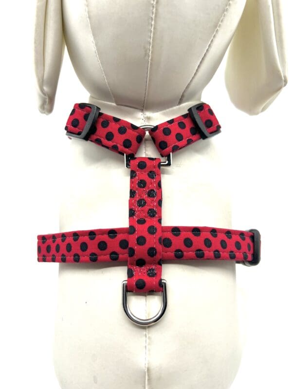 A red and black polka dot harness with a leash.