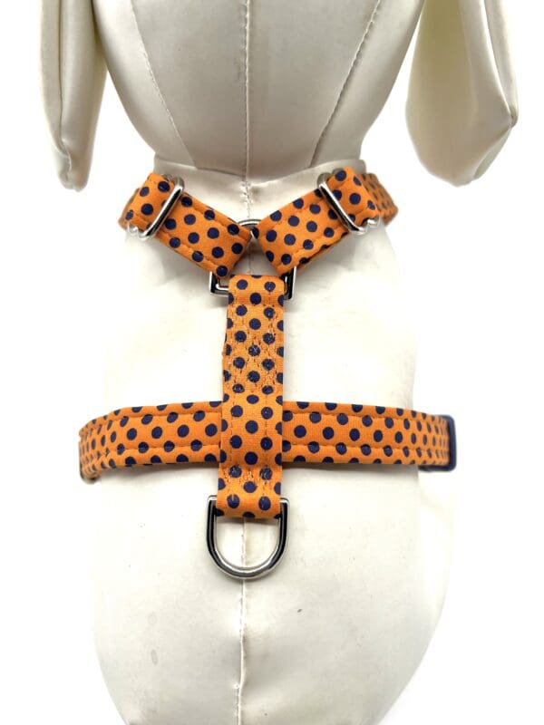 A dog wearing a harness with polka dots.