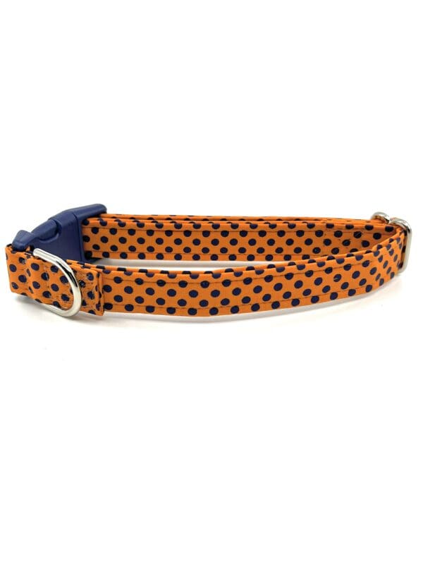 Orange and blue polka dot dog collar.