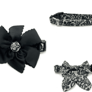 A black and white cat collar with a flower on it.