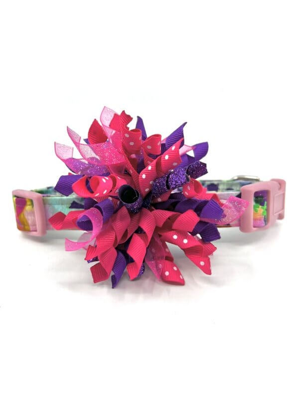 A pink and purple flower with a blue ribbon