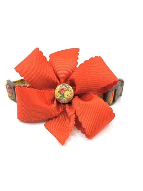 An orange dog collar with a flower on it.